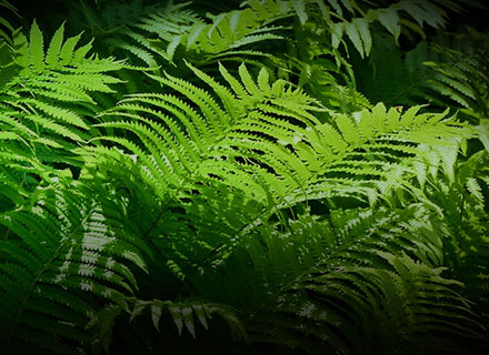 vsport(中国区)官方网站