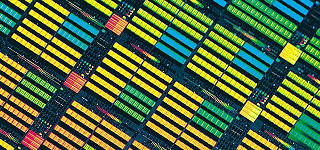 vsport(中国区)官方网站